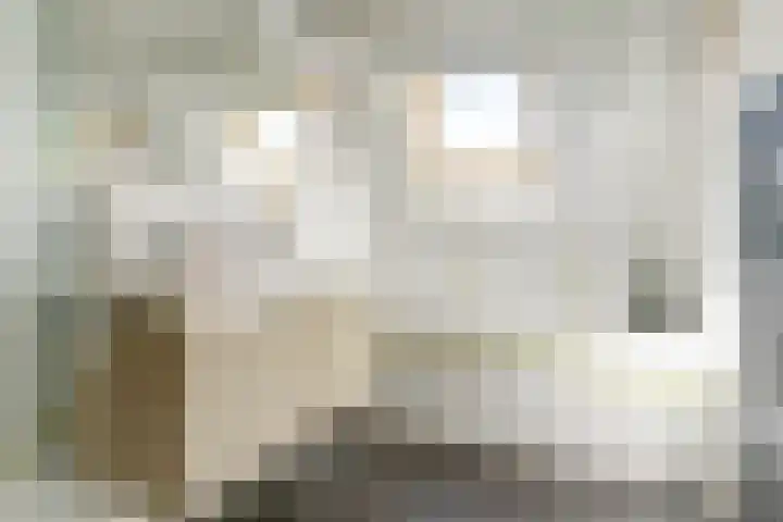 Prinsenstraat 11 Dieren thumbnail 18