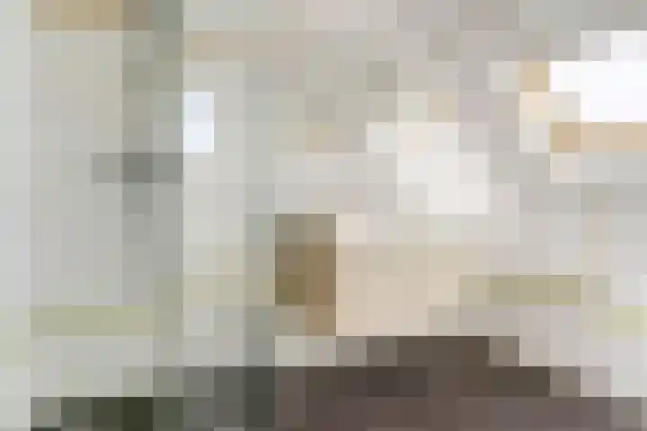 Prinsenstraat 11 Dieren thumbnail 20