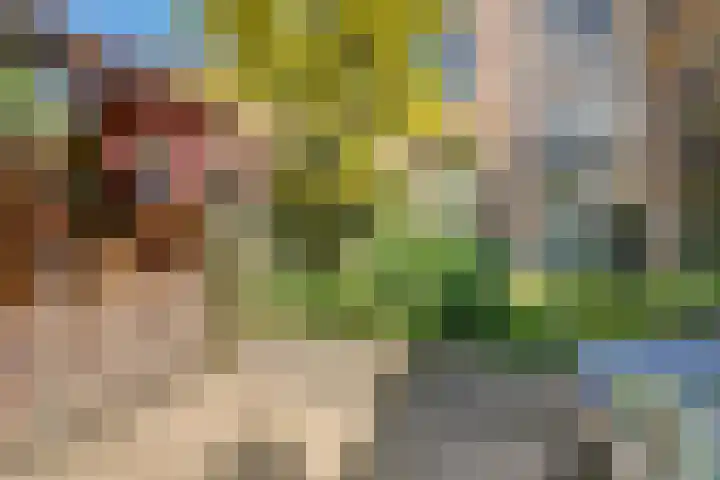 Prinsenstraat 11 Dieren thumbnail 22