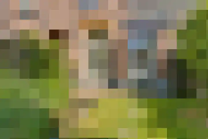 Prinsenstraat 11 Dieren thumbnail 23