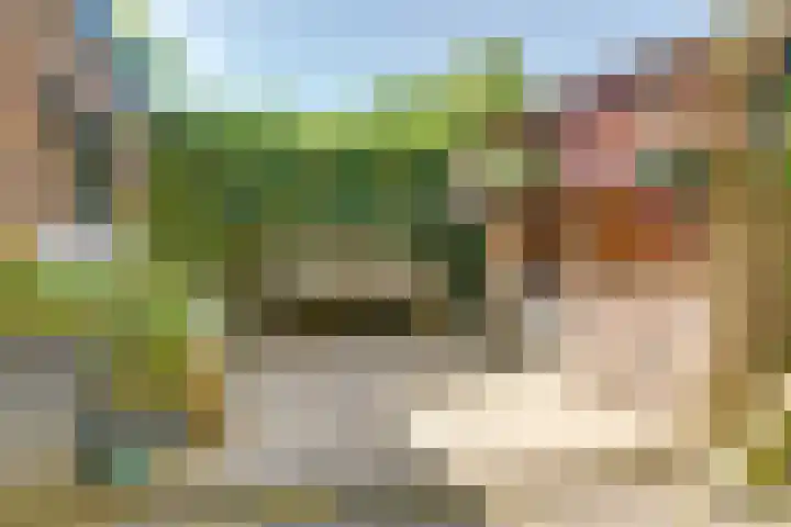 Prinsenstraat 11 Dieren thumbnail 25