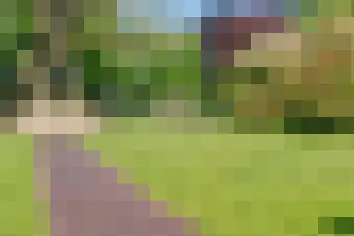 Prinsenstraat 11 Dieren thumbnail 26