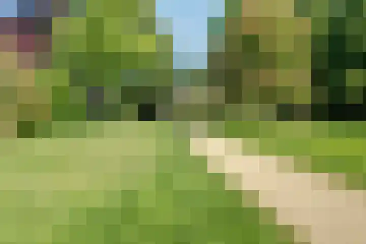 Prinsenstraat 11 Dieren thumbnail 27