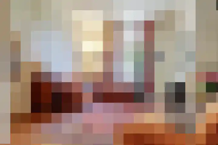 Prinsenstraat 11 Dieren thumbnail 4