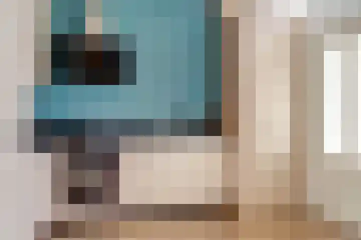 Prinsenstraat 11 Dieren thumbnail 8