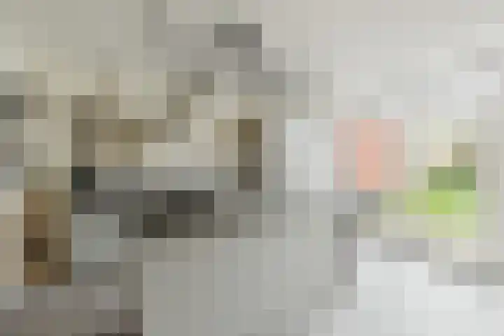 Prinsenstraat 11 Zundert thumbnail 15