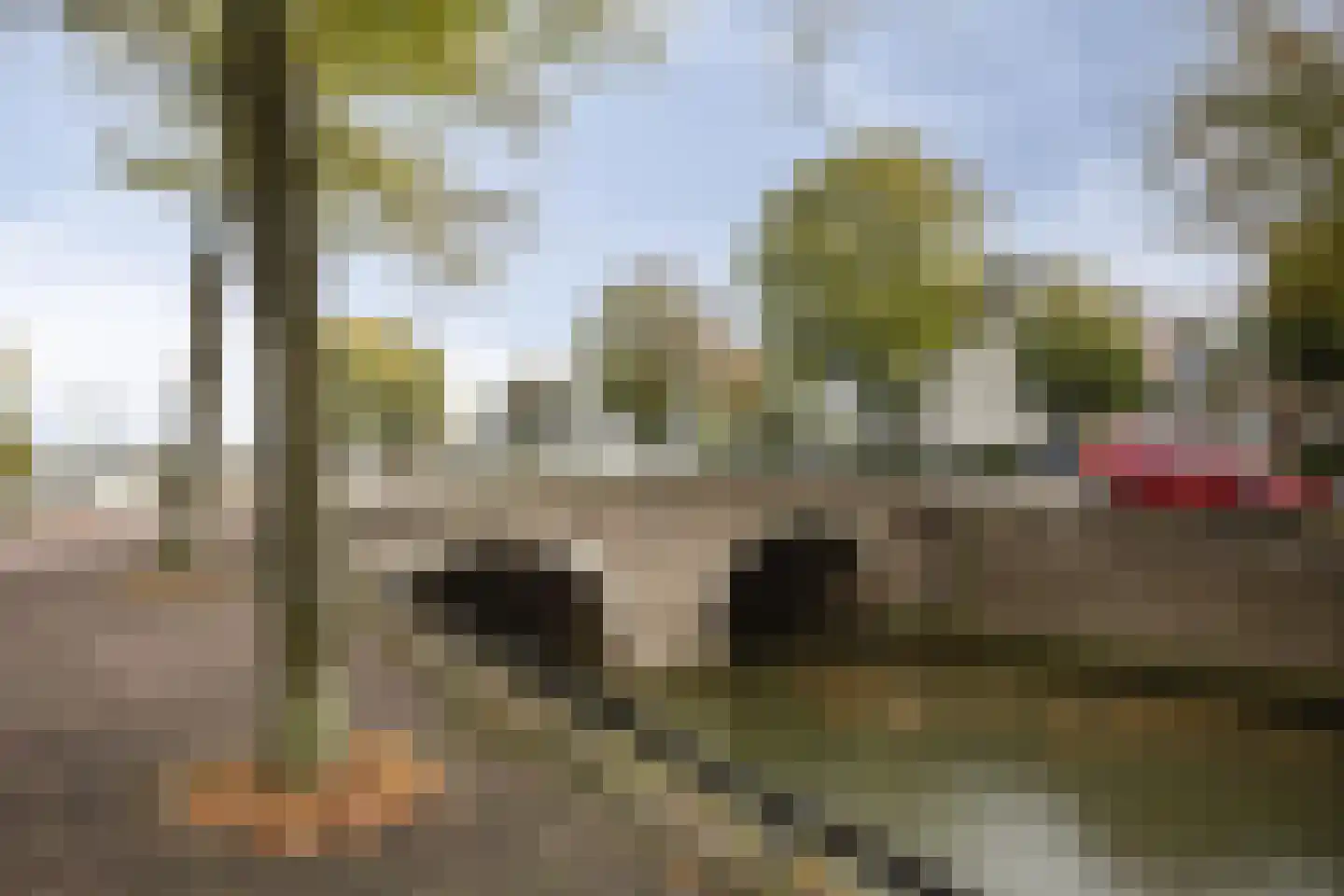 Prinsenstraat 13 A Kampen thumbnail 32
