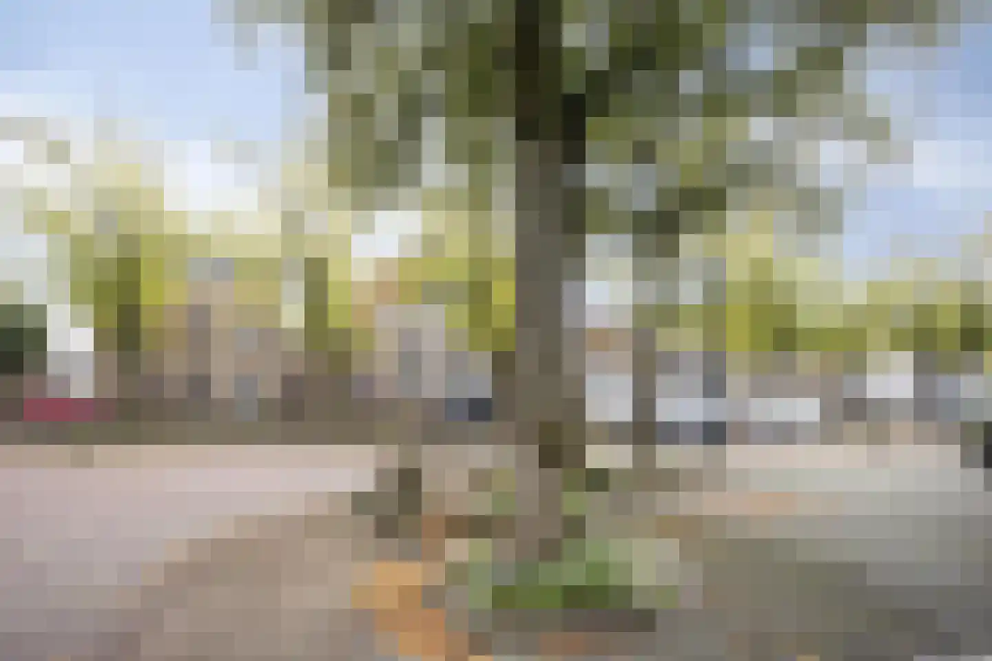 Prinsenstraat 13 A Kampen thumbnail 33
