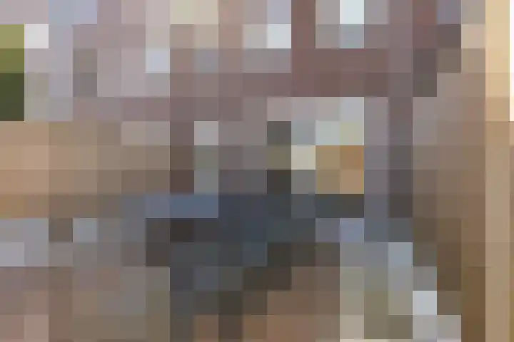 Prinsenstraat 14 Zundert thumbnail 32