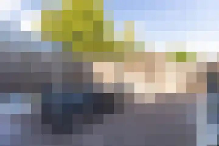 Prinsenstraat 14 Zundert thumbnail 6