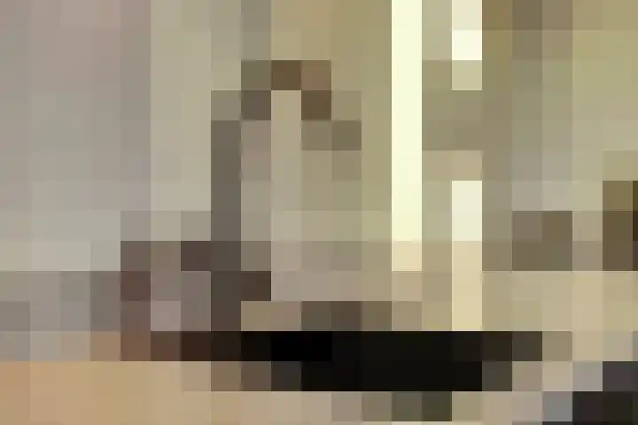 Prinsenstraat 17 Gameren thumbnail 14