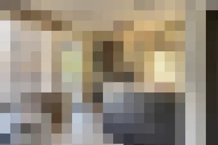 Prinsenstraat 17 Gameren thumbnail 15