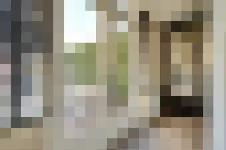 Prinsenstraat 17 Gameren thumbnail 17