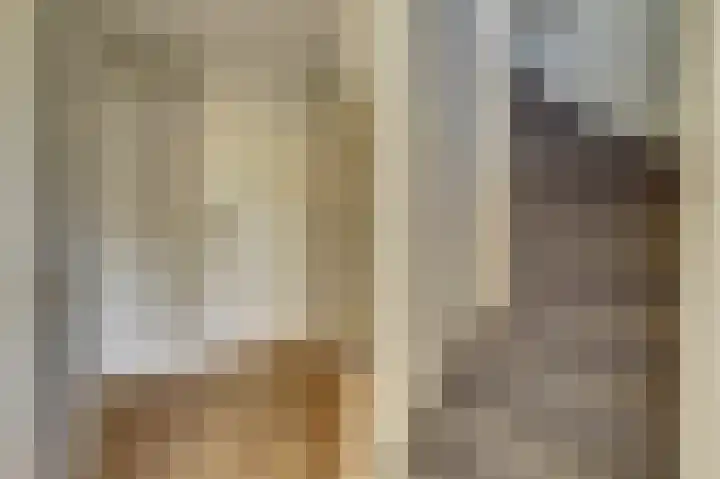 Prinsenstraat 17 Gameren thumbnail 22