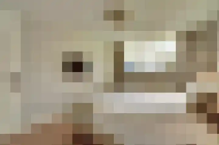 Prinsenstraat 17 Gameren thumbnail 26