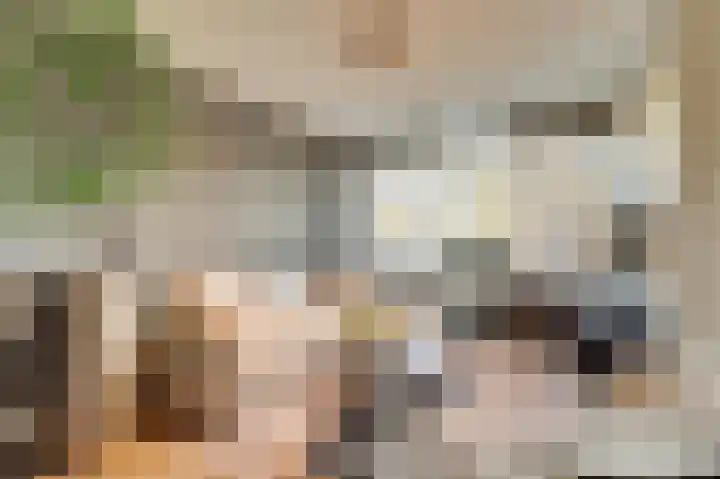 Prinsenstraat 17 Gameren thumbnail 4