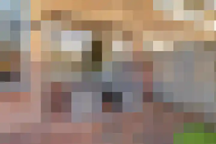 Prinsenstraat 17 Gameren thumbnail 42