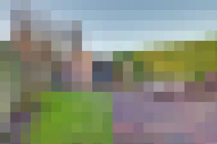 Prinsenstraat 17 Gameren thumbnail 45