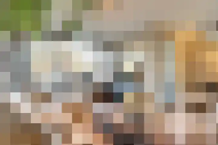 Prinsenstraat 17 Gameren thumbnail 5