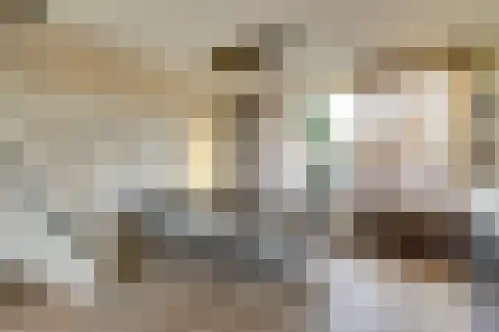 Prinsenstraat 17 Gameren thumbnail 9