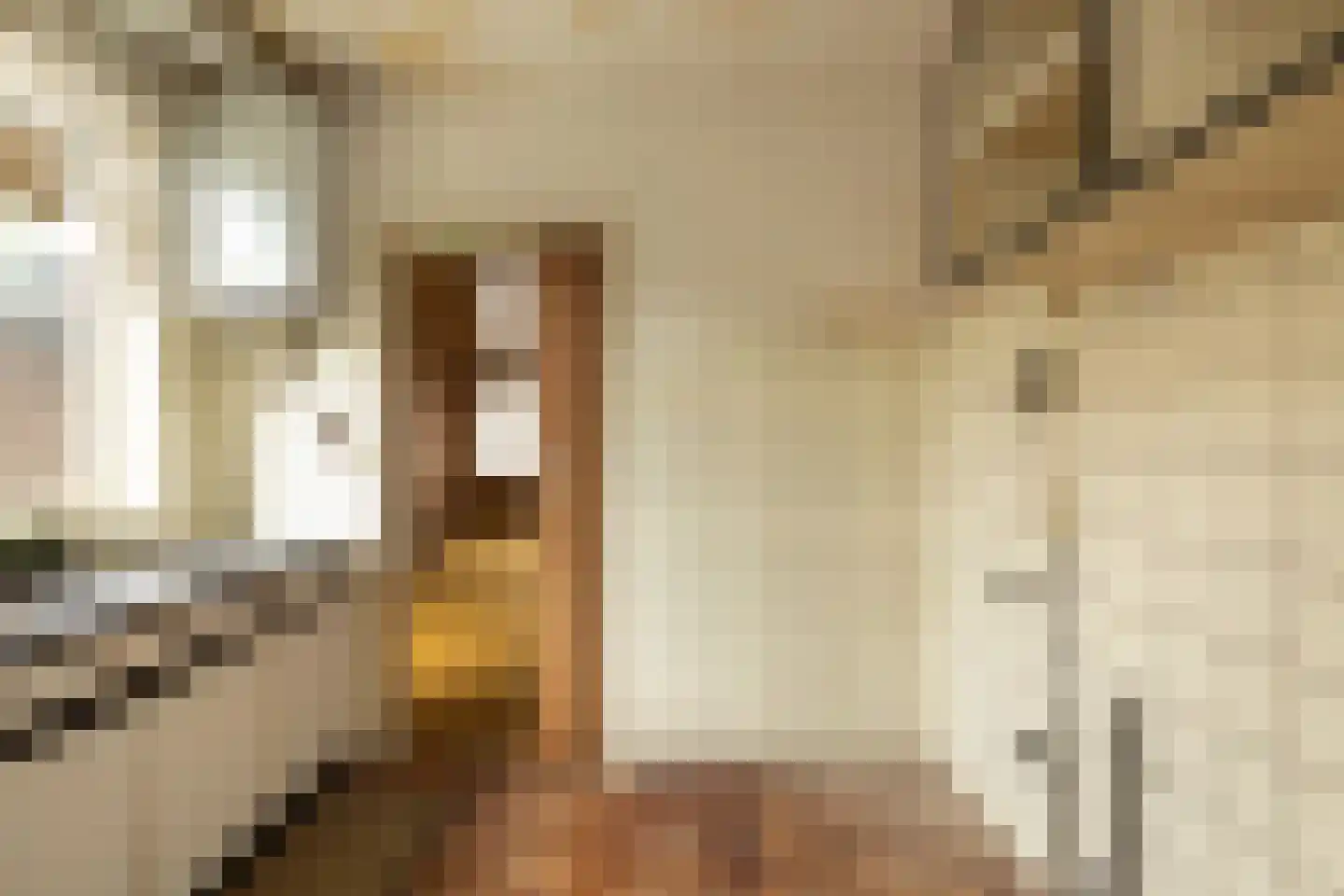 Prinsenstraat 17 Hilversum thumbnail 7