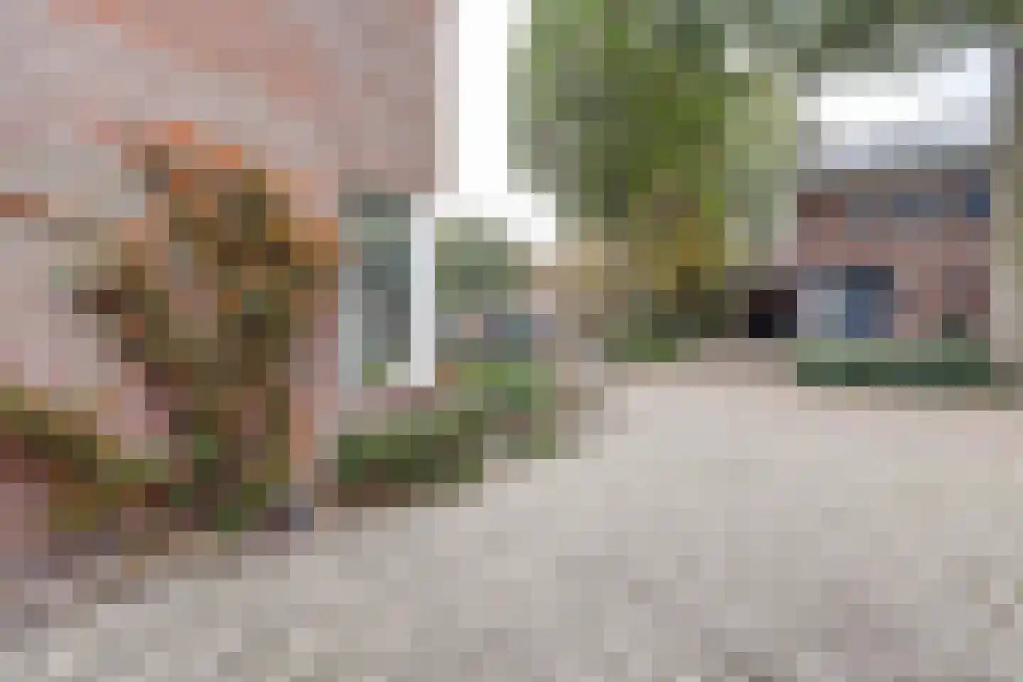 Prinsenstraat 19 's Gravenmoer thumbnail 10