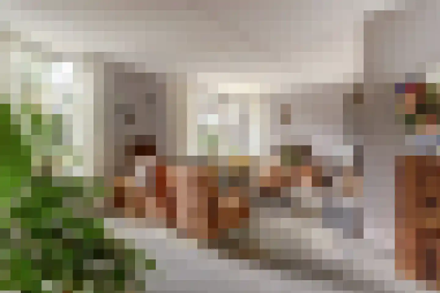 Prinsenstraat 19 's Gravenmoer thumbnail 14