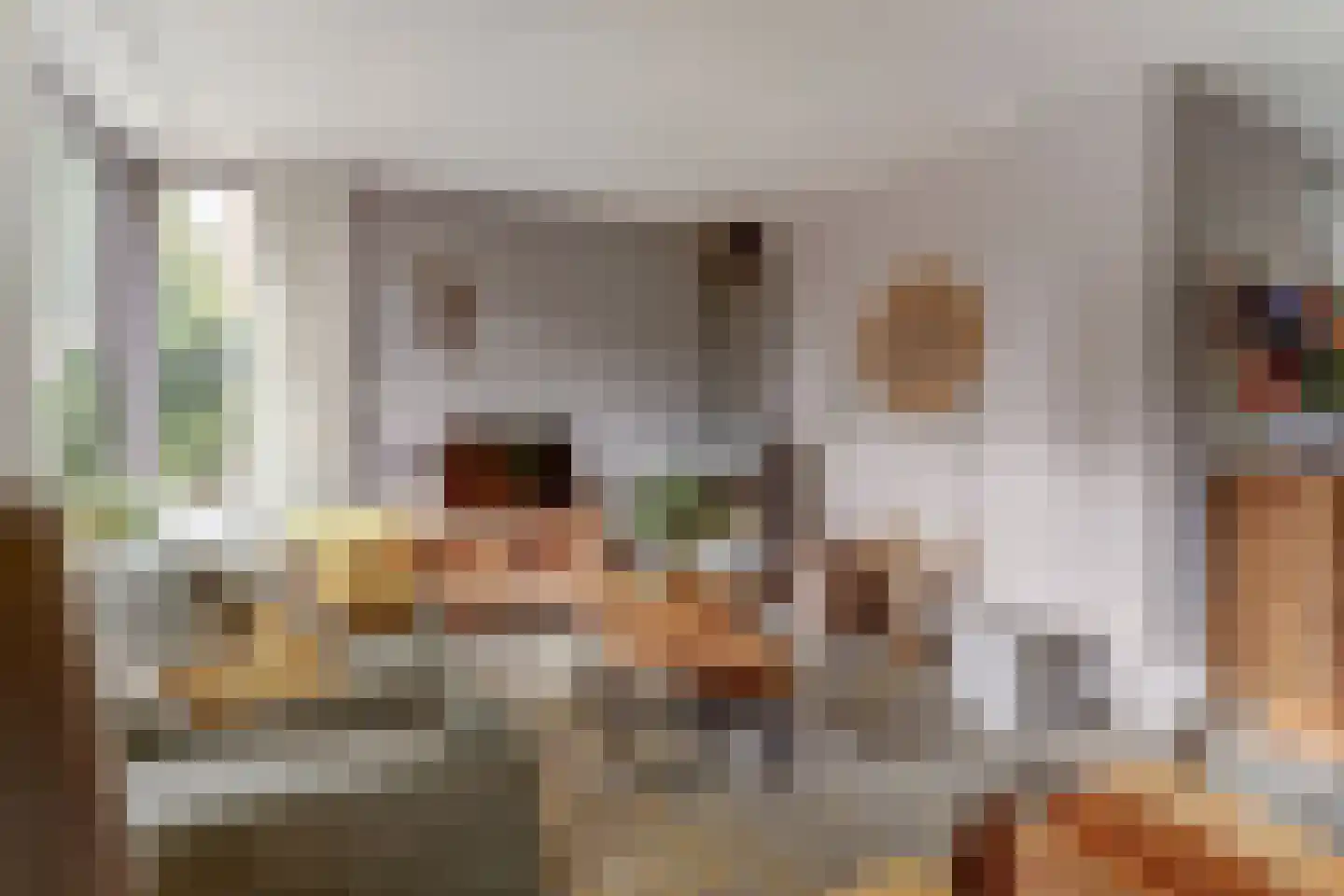 Prinsenstraat 19 's Gravenmoer thumbnail 15
