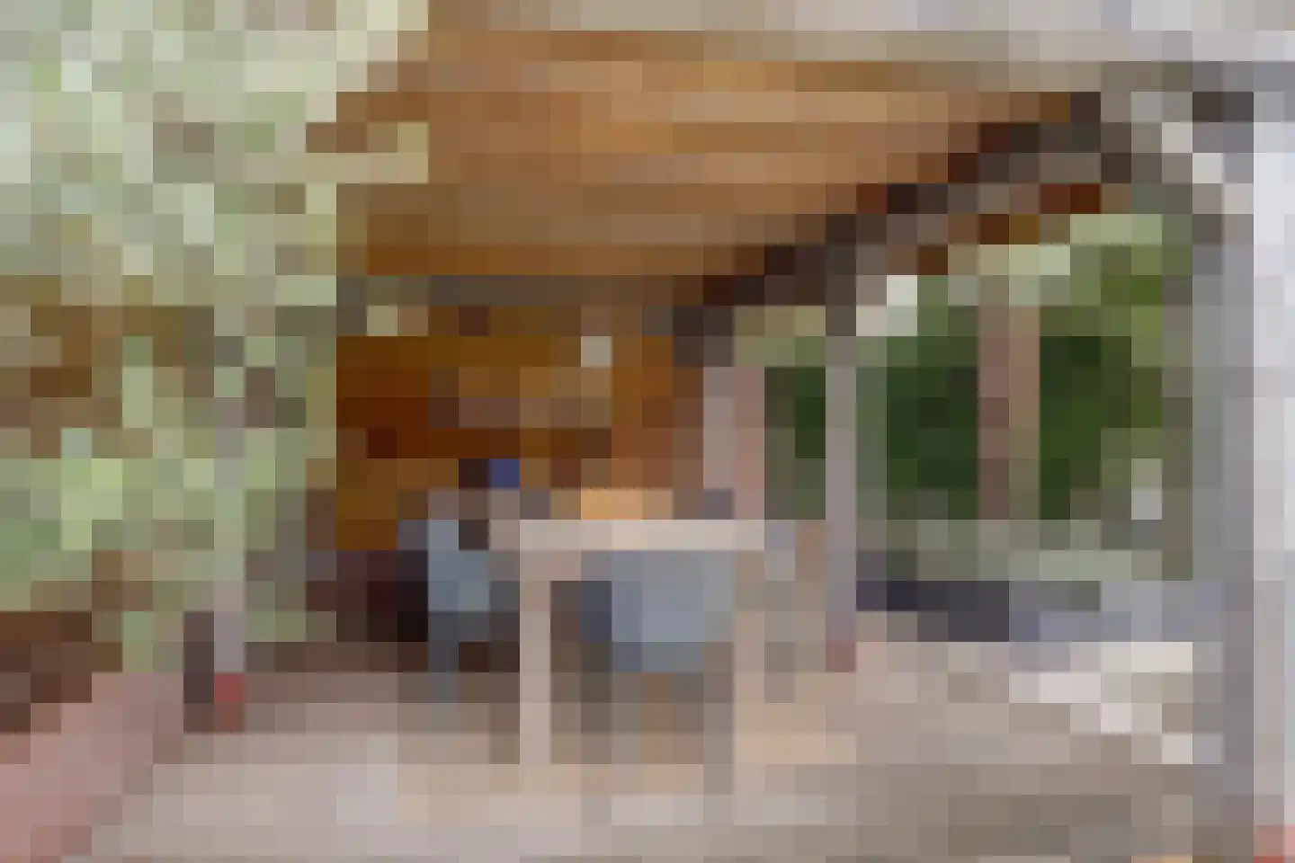 Prinsenstraat 19 's Gravenmoer thumbnail 47