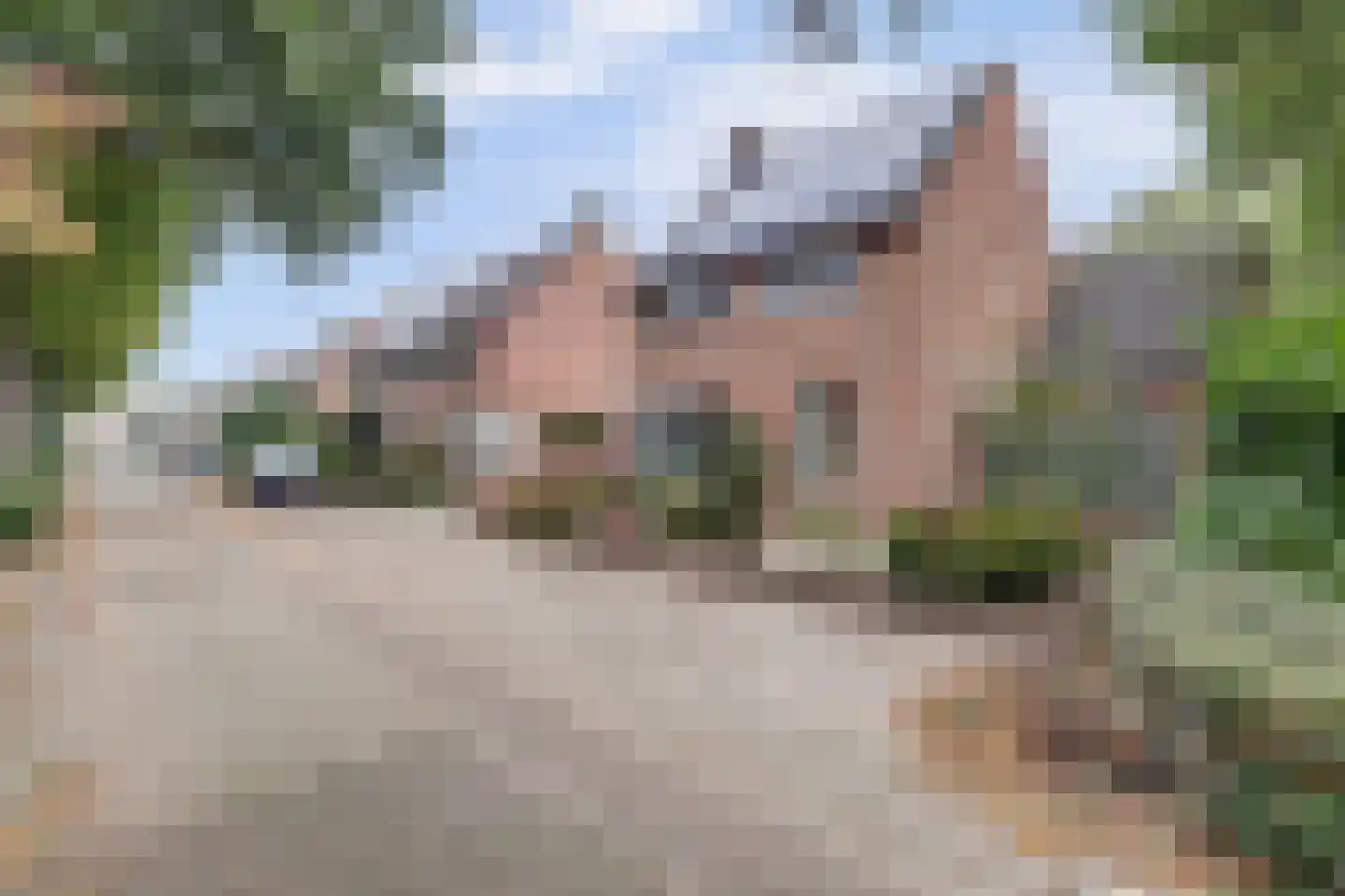 Prinsenstraat 19 's Gravenmoer thumbnail 6