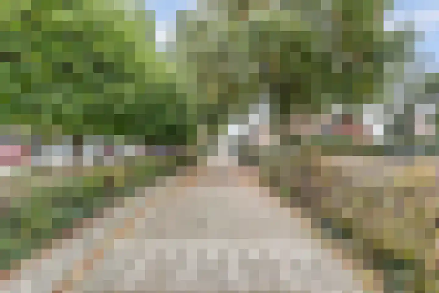 Prinsenstraat 19 's Gravenmoer thumbnail 7