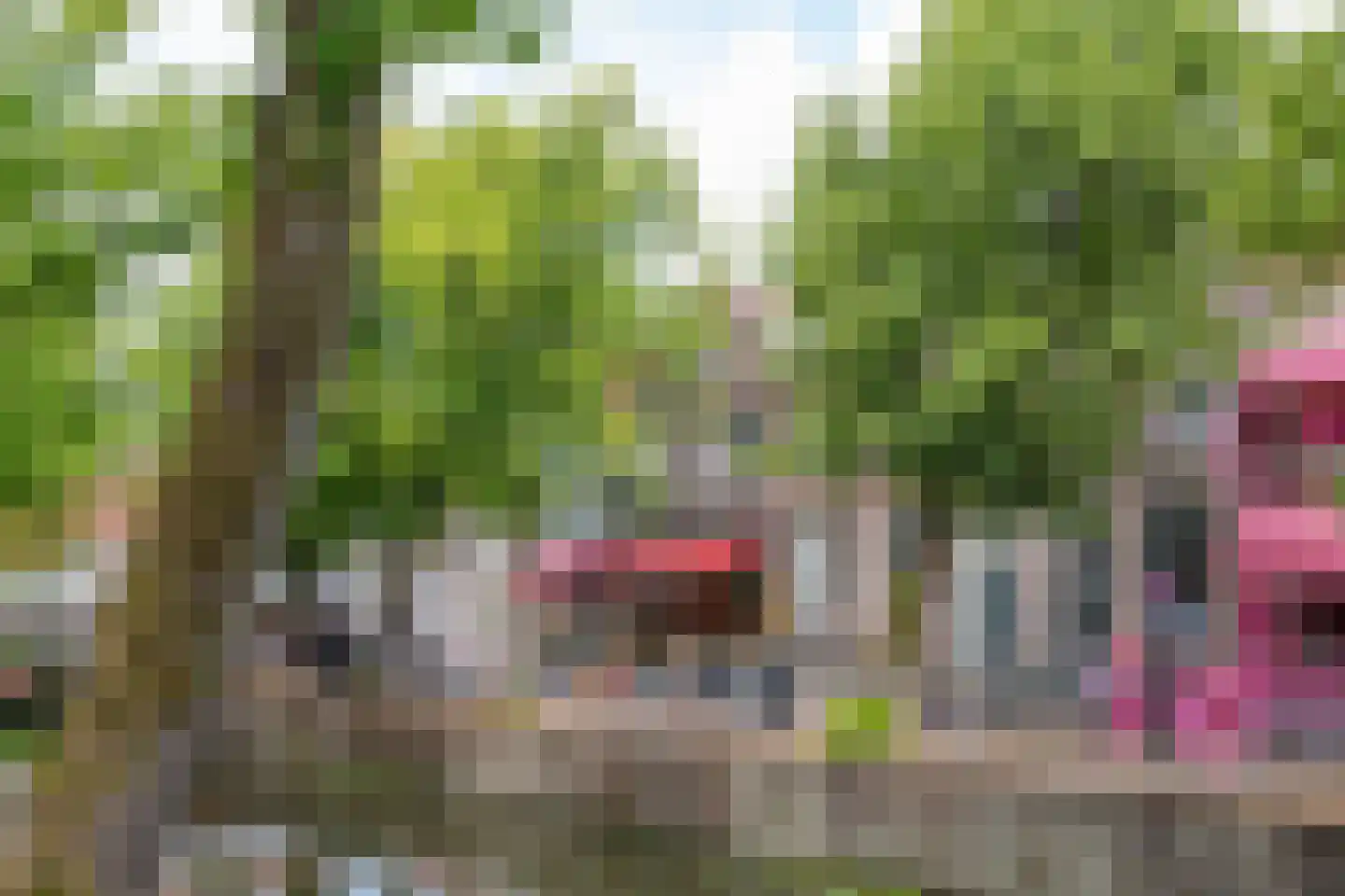 Prinsenstraat 2 a Edam thumbnail 5