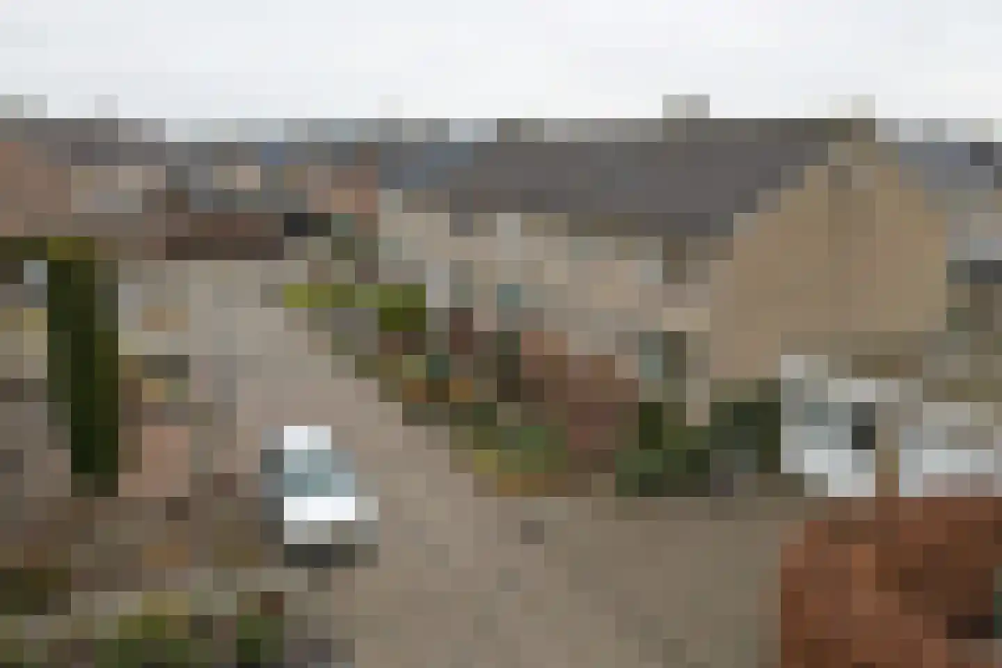 Prinsenstraat 2 Baarle-Nassau thumbnail 31