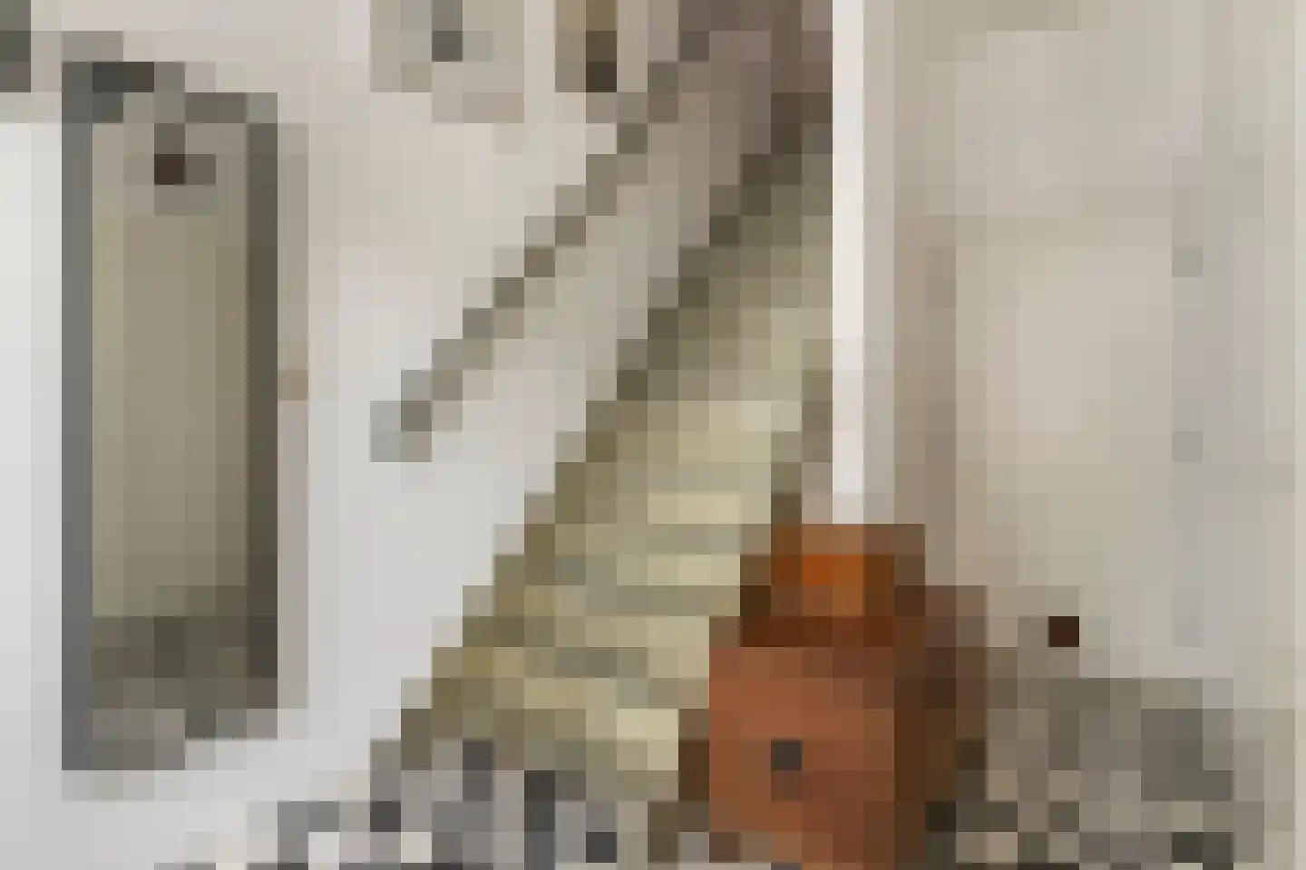 Prinsenstraat 20 Dordrecht thumbnail 10