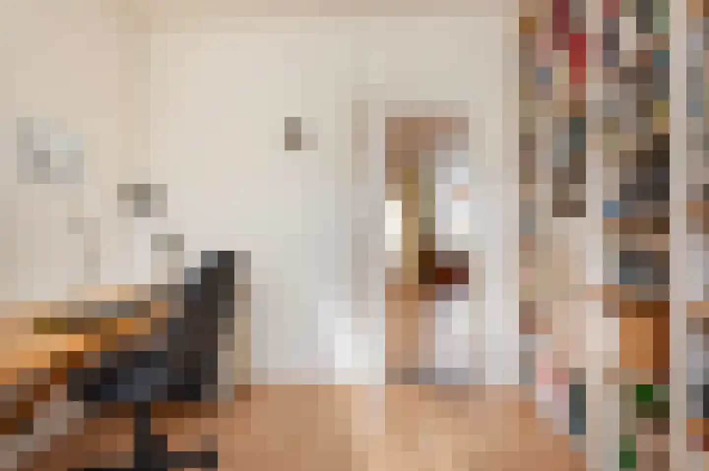 Prinsenstraat 21 Aalten thumbnail 13