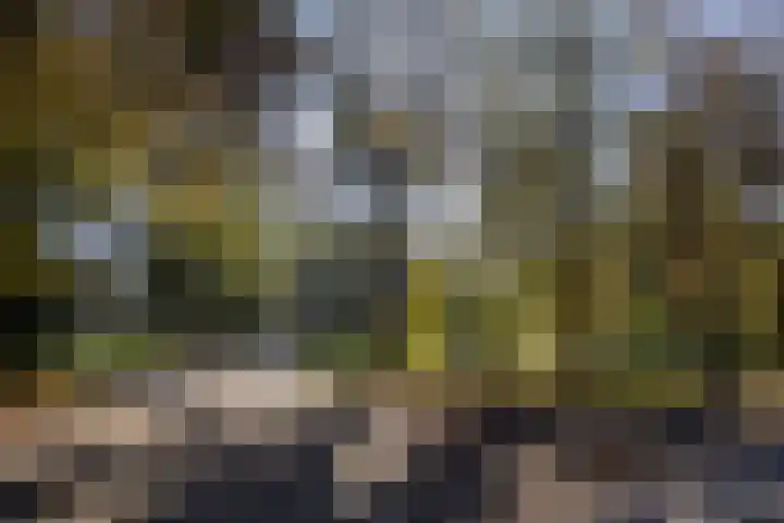 Prinsenstraat 25 Utrecht thumbnail 33