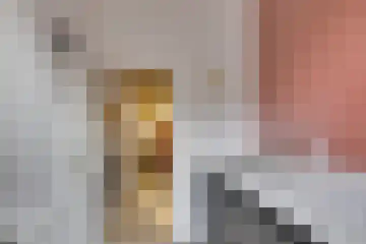 Prinsenstraat 25 Utrecht thumbnail 8
