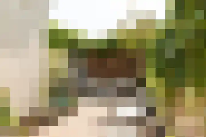 Prinsenstraat 29 Hilversum thumbnail 23