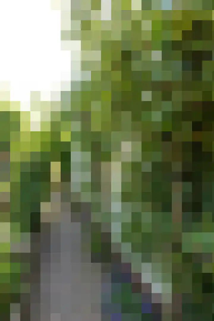 Prinsenstraat 29 Hilversum thumbnail 26