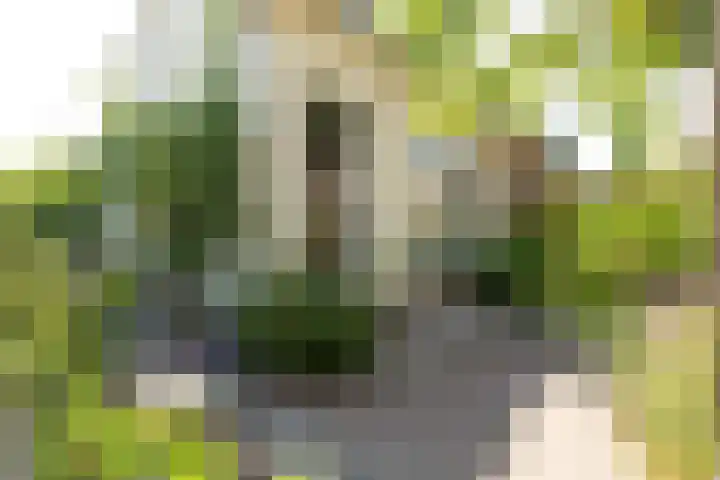 Prinsenstraat 29 Hilversum thumbnail 29