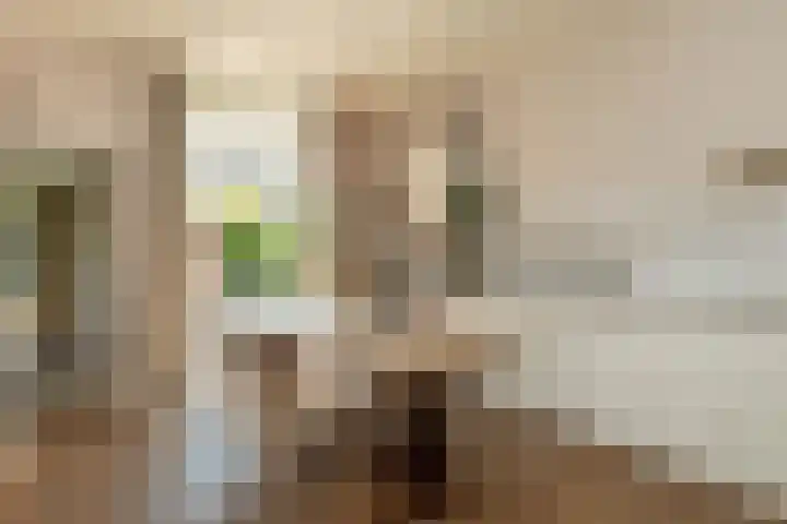 Prinsenstraat 29 Hilversum thumbnail 7