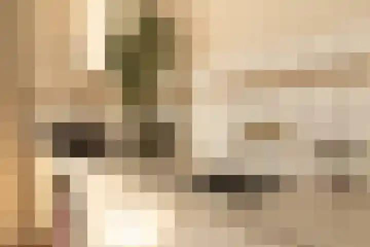 Prinsenstraat 29 Hilversum thumbnail 8