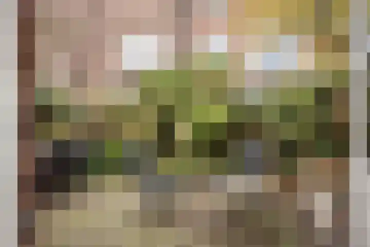 Prinsenstraat 29 Utrecht thumbnail 21