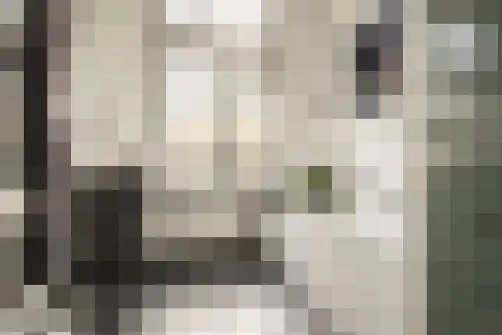 Prinsenstraat 29 Utrecht thumbnail 35