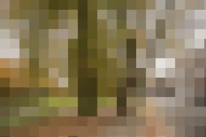 Prinsenstraat 29 Utrecht thumbnail 41