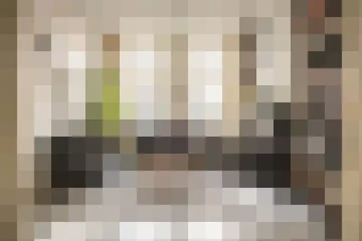 Prinsenstraat 29 Utrecht thumbnail 8