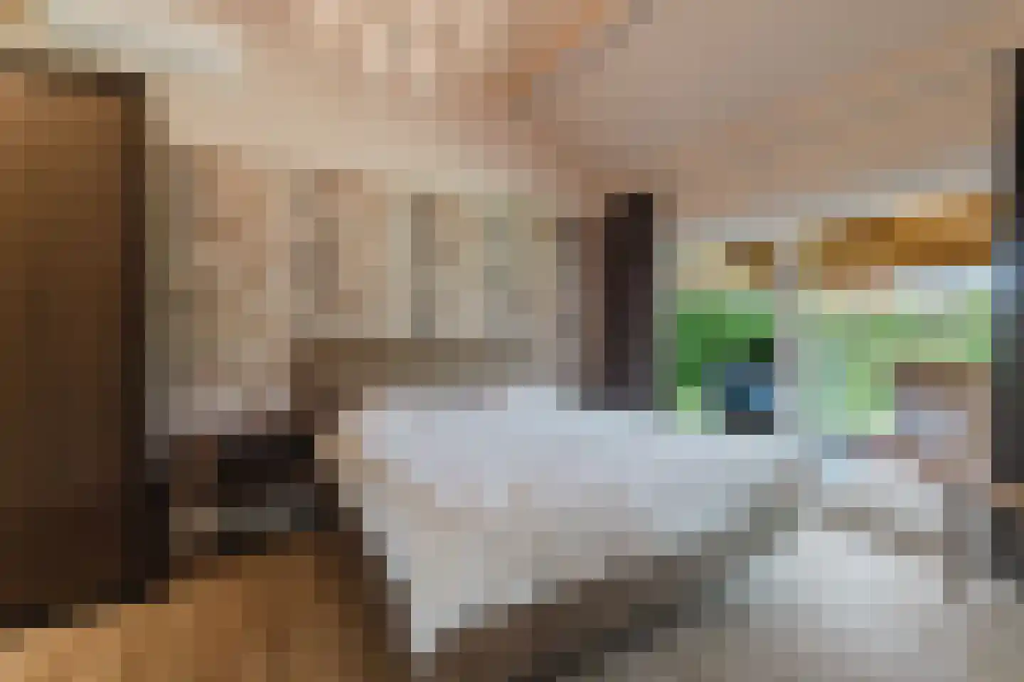 Prinsenstraat 47 Zundert thumbnail 23