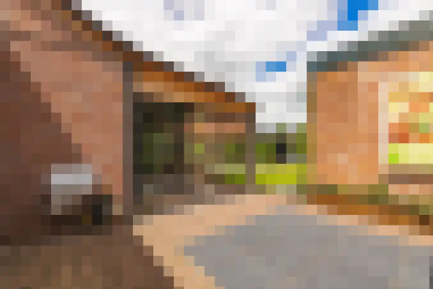 Prinsenstraat 47 Zundert thumbnail 44