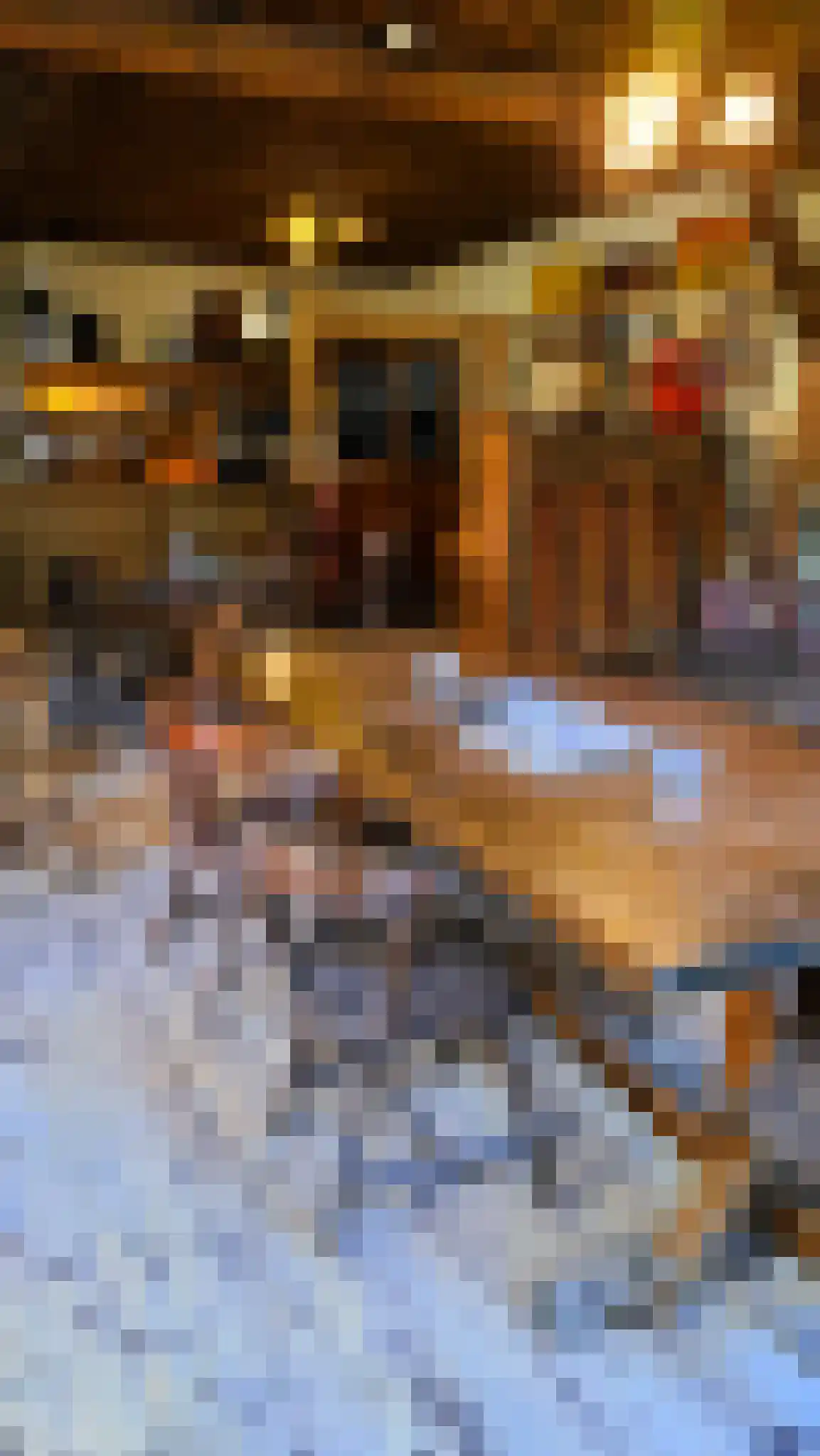 Prinsenstraat 5 Bredevoort thumbnail 11