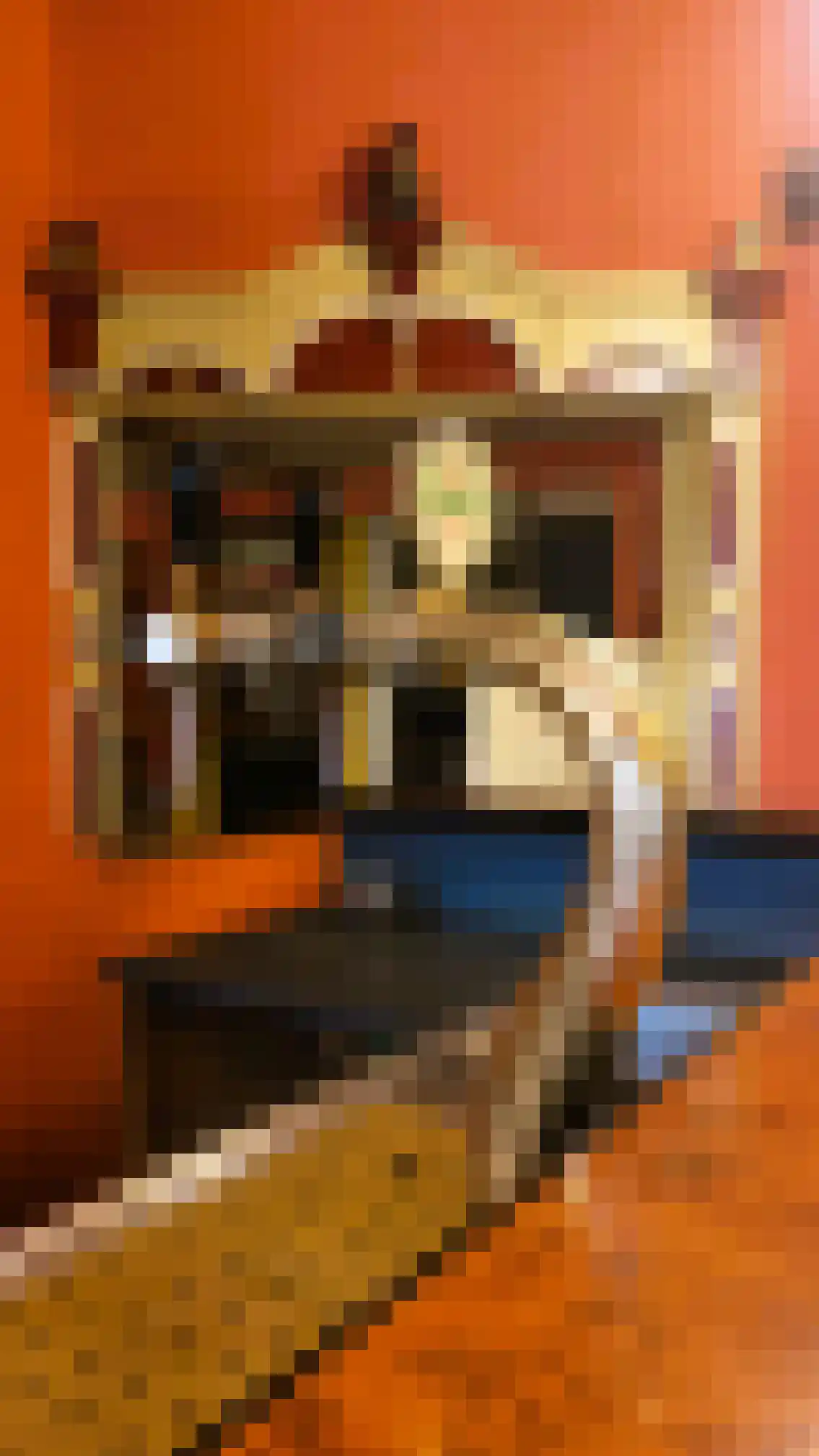 Prinsenstraat 5 Bredevoort thumbnail 34